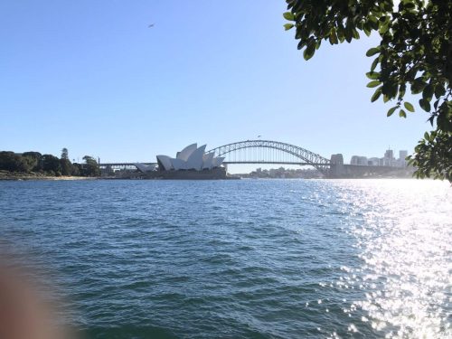 01610c23-a921-4cbf-8064-a1ba3c44abb8