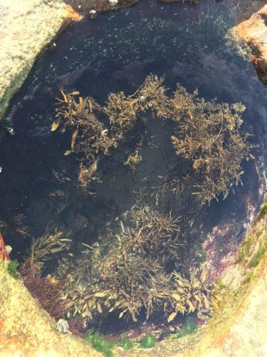 034ba443-c73a-438e-8579-131b6c3b208b