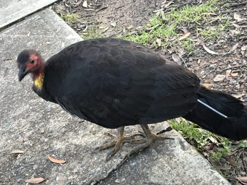 0567def9-21bd-4ae8-933b-d0df8b3c5eb5