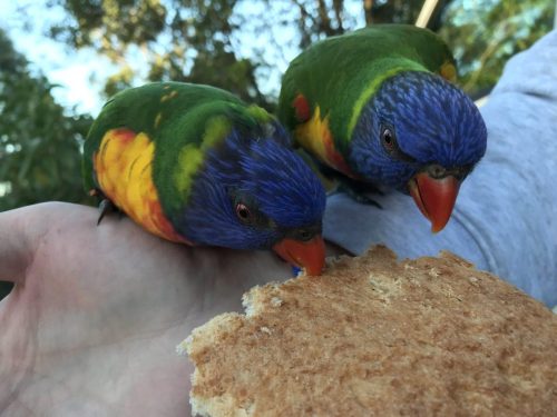 08fddb1d-3c1d-4944-ae37-c0eb92e100a7