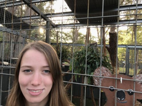 0bec79b2-985e-464e-a0ec-7e8dc9abc43d