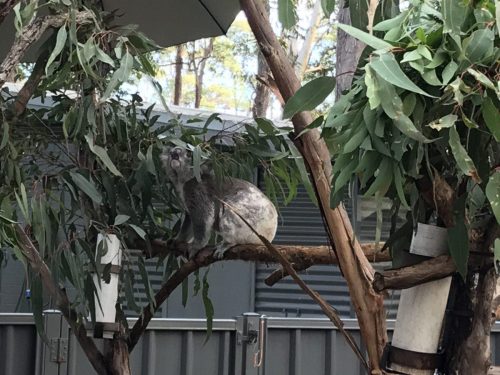 0ed7ab30-7a87-4b5a-90e1-f74fce77093d