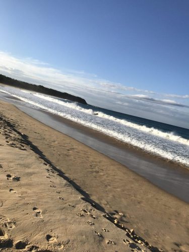 11c37ec6-0149-4151-9921-d51402a10419