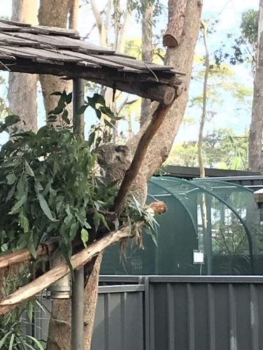 1344e0c3-419b-485b-910a-a97a2c8901b4