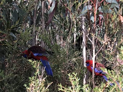 134ff238-ed40-406a-8abb-f64dda550826