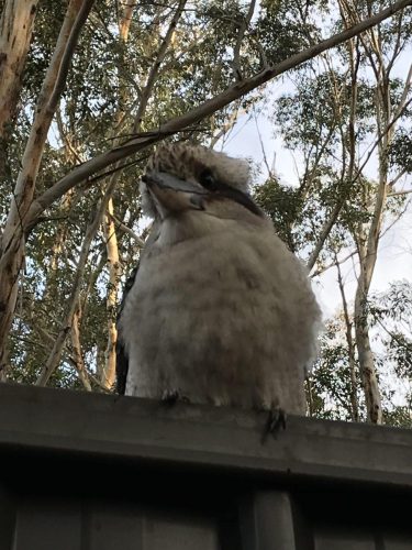 14908464-211b-44c8-9526-ac98e73dc2a5