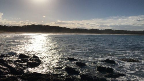 16313afe-9301-473e-828e-7788d1248517