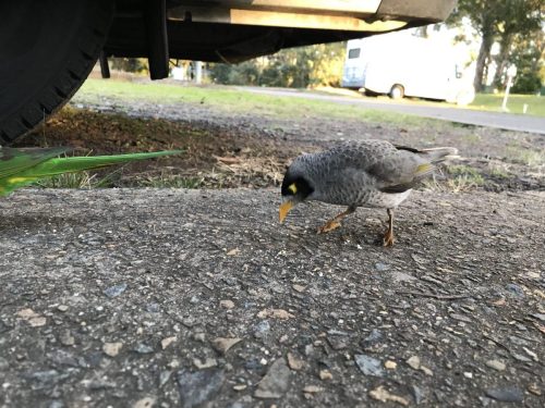 168f9842-0ce0-4af6-98d4-3817499e2bd1