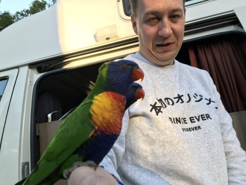 16c4aeb3-00bf-42a5-acd7-871ff70ad9b1