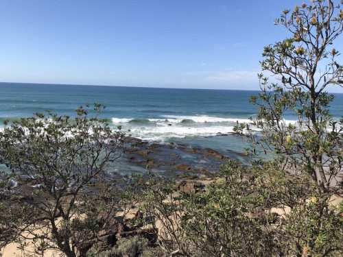 17ea64c9-457f-4bb5-82ce-cc66376eb787