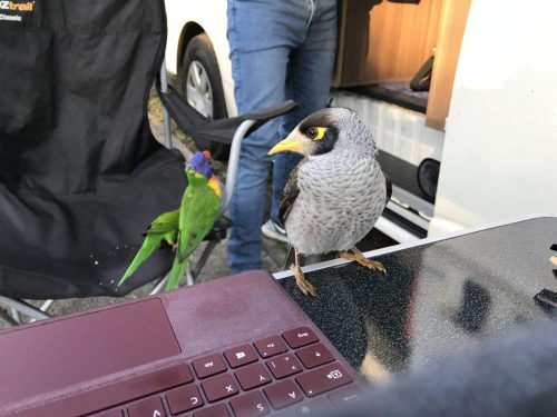 1836cab0-9355-4d5b-aa78-50409b65cb1f