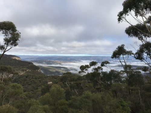 18b4c0fa-a786-4b4e-b904-e730375e352e