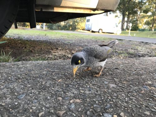 1a6fdc0b-84c4-483c-a785-1ad03d08a529