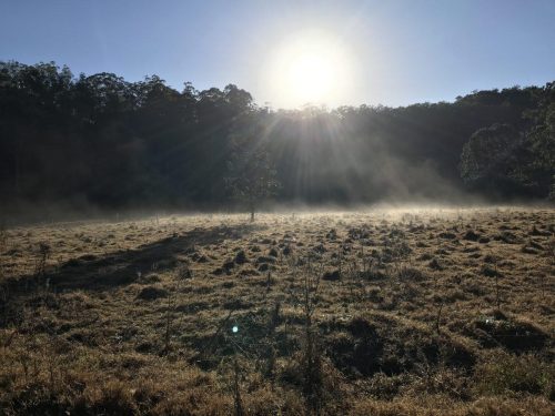 1c22dcf4-6044-46ec-bd8e-e13642922f8a