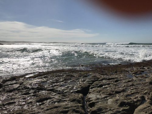 1c3181ae-431b-45d8-934c-b8197542e6b9