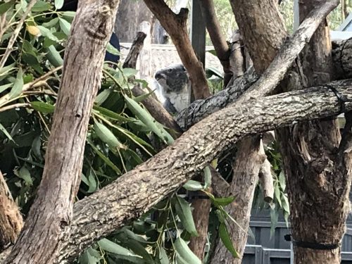 1cb46f0b-57c7-4e09-aad3-f85700fc3356