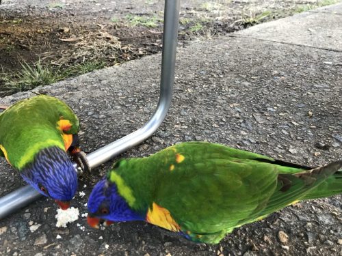 1fffcd73-8e22-4c49-bab3-dbc664ce7192