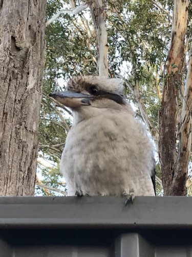 21e1d51c-c812-45bd-bcba-56871458e50d