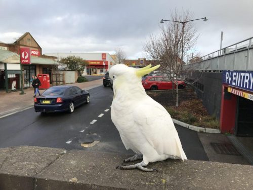 234193fe-95cb-4ddd-be31-7fcc6bed53b9