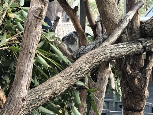 236aa23c-7b60-44fd-872a-ba87c196875d