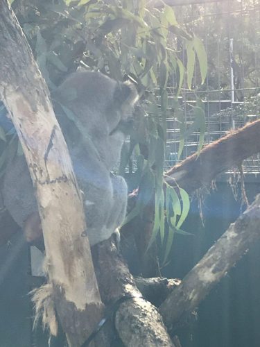 259111b1-130f-447f-941e-6729f84fee80