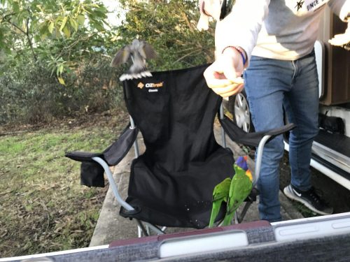 25b2cb37-147b-4085-a4fd-1df9d665bd0b