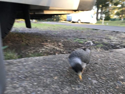 26c943ad-f915-4cc4-88ff-d05a8554b704