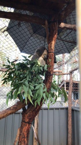 26e4fcfd-661b-492d-a8ab-85647bf6f9b9