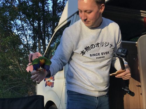 286ee48b-e105-4d54-a72d-a2268a25c8b0