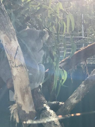 29d206ed-25ff-47c9-a75c-38479c5b3378