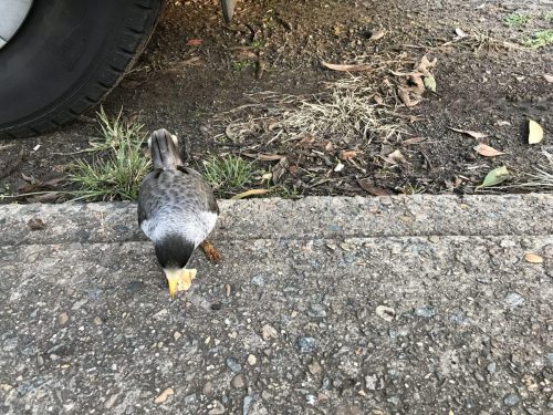 2a773526-cb00-4243-87ed-86c2eec68646