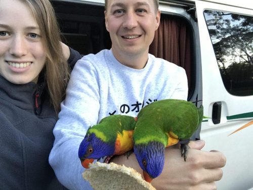 2bb703a8-a9b6-4b29-b59f-7a2f024aa895