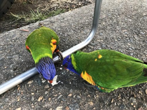 2e91c3dc-8eec-4902-8db7-1e2d7d6d4353