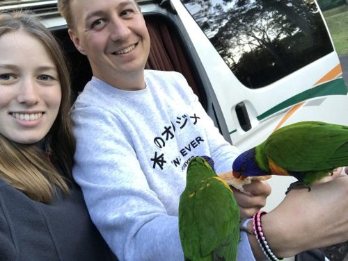 31b9da2b-67dd-46af-aaf4-9c07f311546f