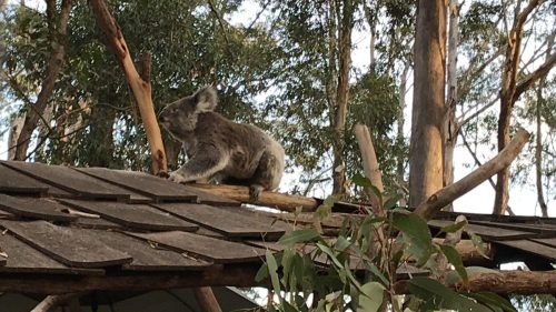 344a2a2c-423e-49a2-aca0-49bf00fe0a01