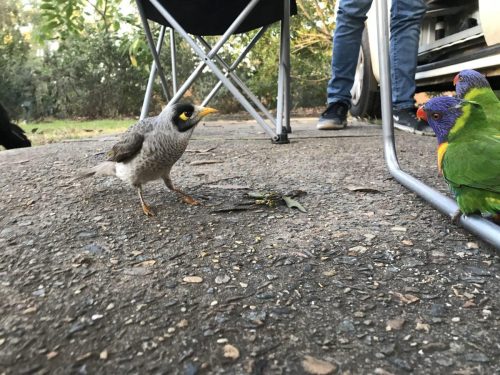 34d84e0b-67a8-4de3-bd17-47ff26d1a38d