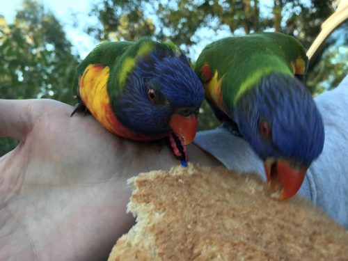 368dc803-8d3d-4e9d-9dbc-5b3453f6103d