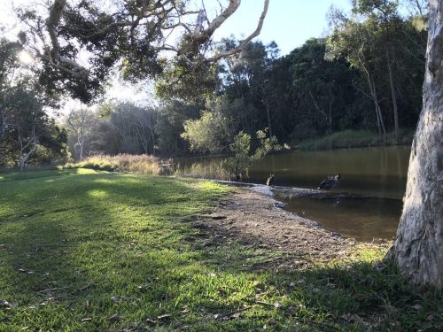 36bbe01a-ad34-485b-9e0f-cf81ec997e86