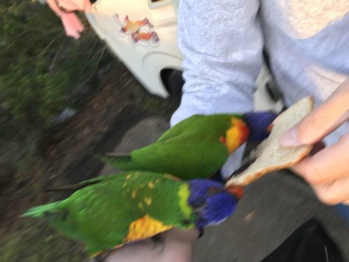 3706d00e-9caa-4469-b53e-c6bf6347a5e0