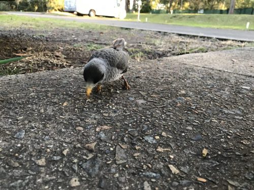 3d918ebc-070a-48f4-b07f-86008aa8dd5a