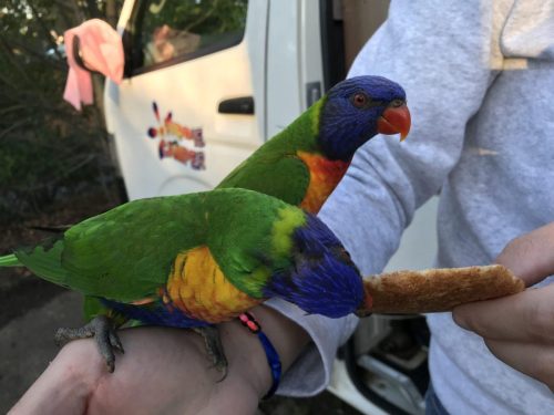 3e4113bc-7e49-4dc5-b69f-f0081b049b7f