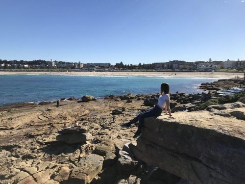 41773c1c-7bca-4b25-8e16-0a5572639578