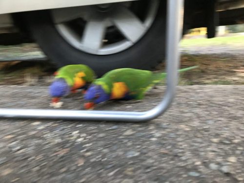 418c7a1e-960e-4f54-a440-6020e8efc7df