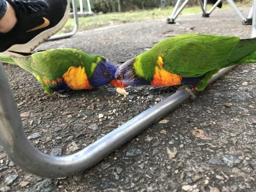 43601207-d8eb-4ed3-8c42-9e71c9379125