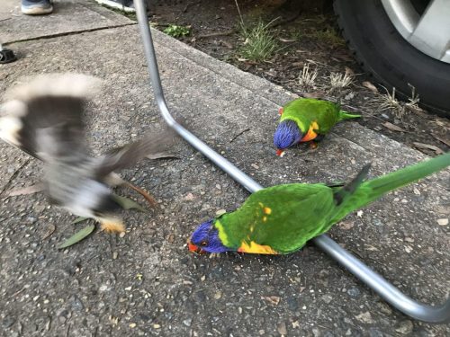 4531b938-6784-4638-8004-9556dc7b67ca