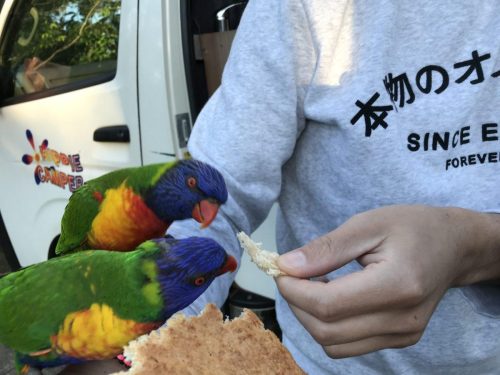 4c615642-b1db-455c-a9d7-4424c6b0112b