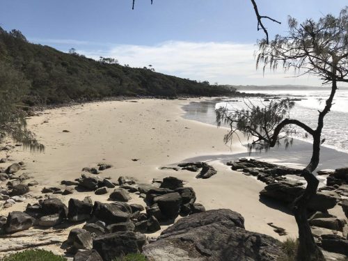 4d88a200-a128-4c30-9cfd-572d267361c8