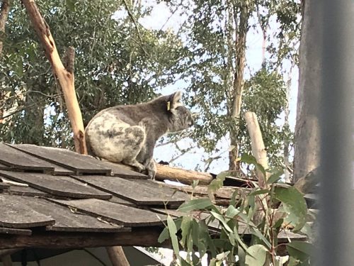 4d9d26d2-136c-47ac-8a72-46f2e52dc62b