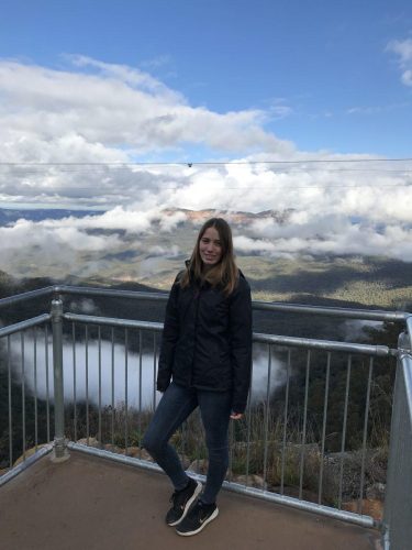 501fda3f-36bf-4d76-9203-e6fdd6aed102