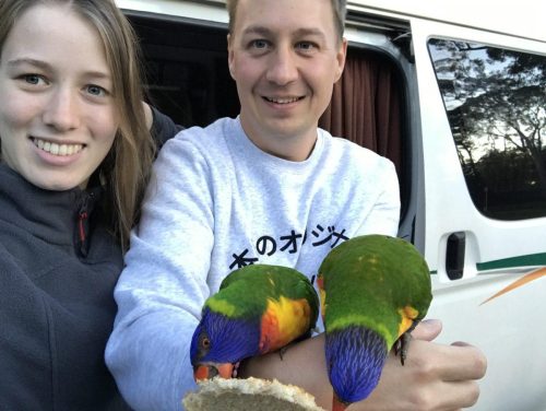 510b732c-d7f3-494c-a024-7c61e74506db